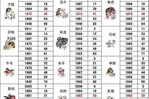 2000 年属什么|2000年属龙的最佳配偶 2000年属龙的和什么属相最配